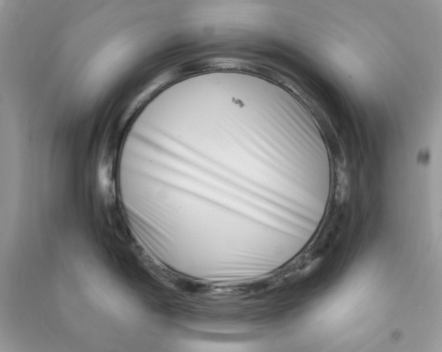 X0000090721198200708171920