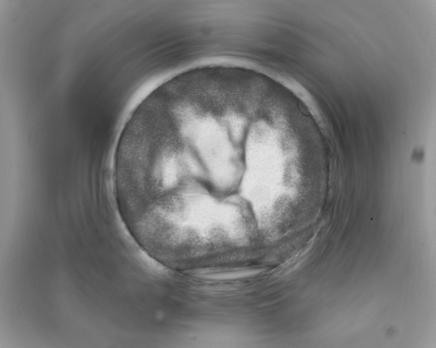 X0000090721199200708171920