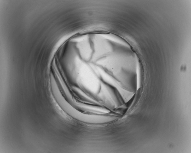 X0000090721200200708171920