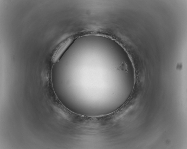 X0000090721206200708171919