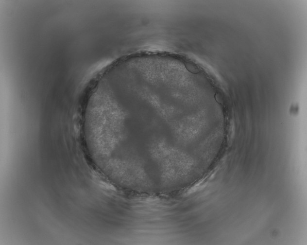 X0000090721207200708171919