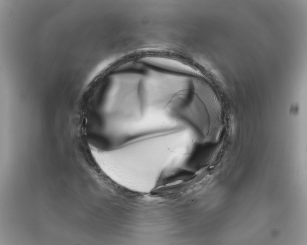 X0000090721208200708171919