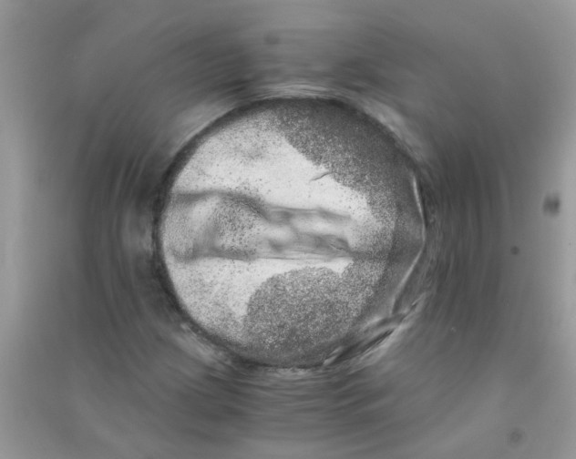 X0000090721209200708171919