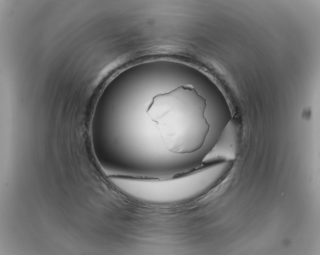 X0000090721210200708171919