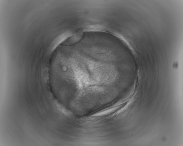 X0000090721211200708171919