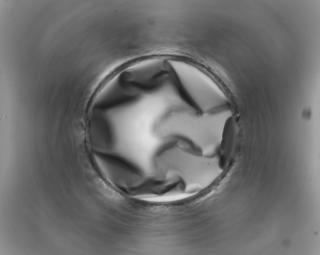 X0000090721212200708171919