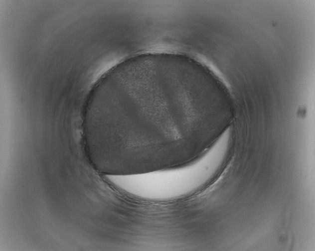 X0000090721213200708171919