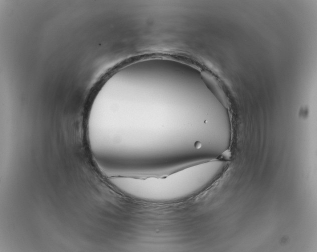 X0000090721214200708171919