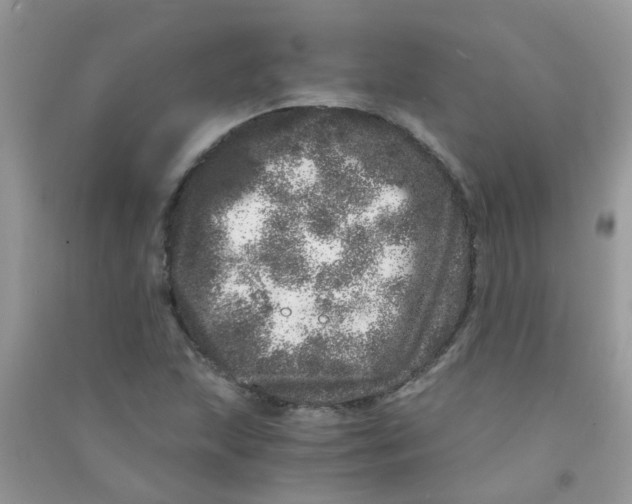 X0000090721215200708171919