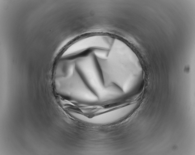 X0000090721216200708171919