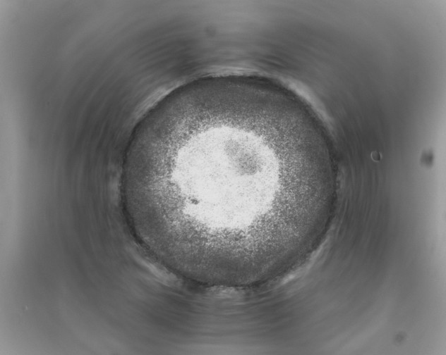 X0000090721217200708171919