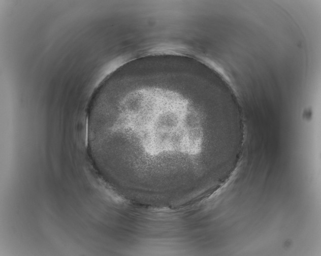 X0000090721219200708171919