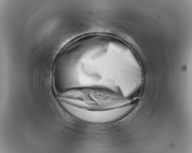 X0000090721220200708171919