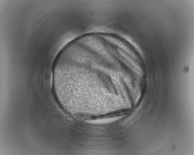 X0000090721221200708171919