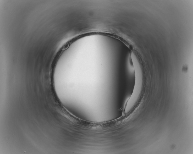 X0000090721222200708171919