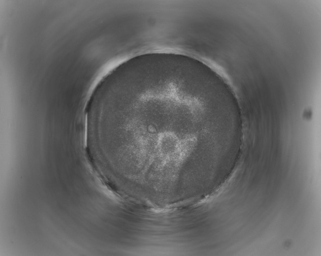 X0000090721223200708171919