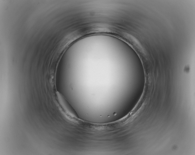 X0000090721225200708171919