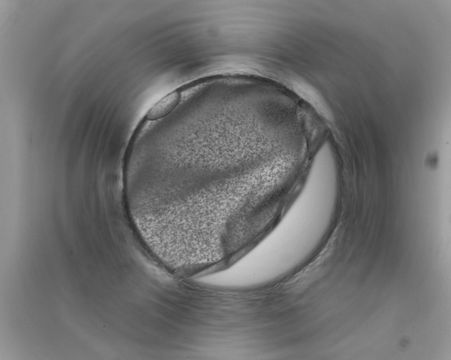 X0000090721226200708171919