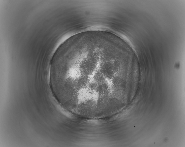 X0000090721227200708171919