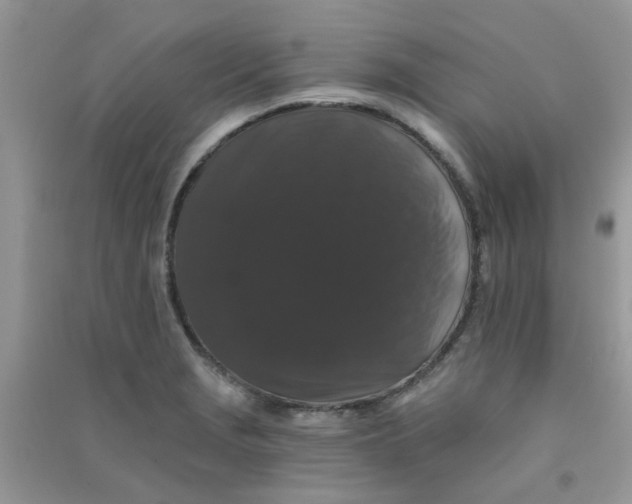 X0000090721229200708171919