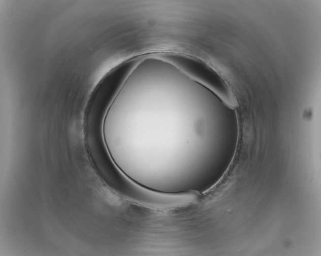 X0000090721230200708171919