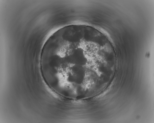 X0000090721231200708171920