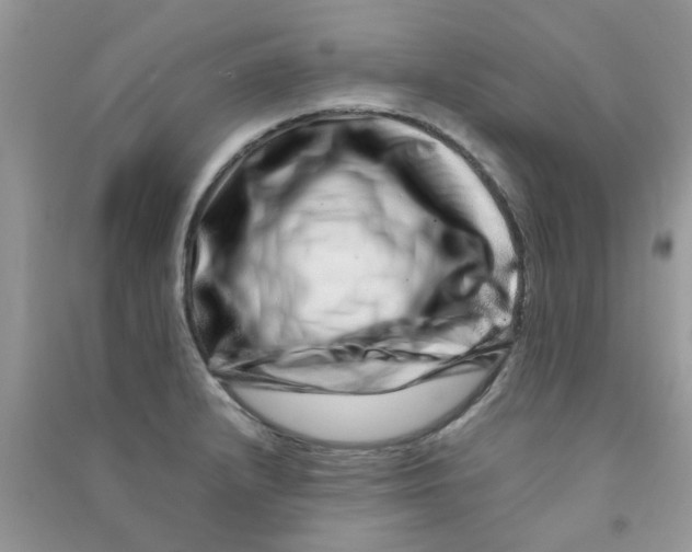 X0000090721232200708171920