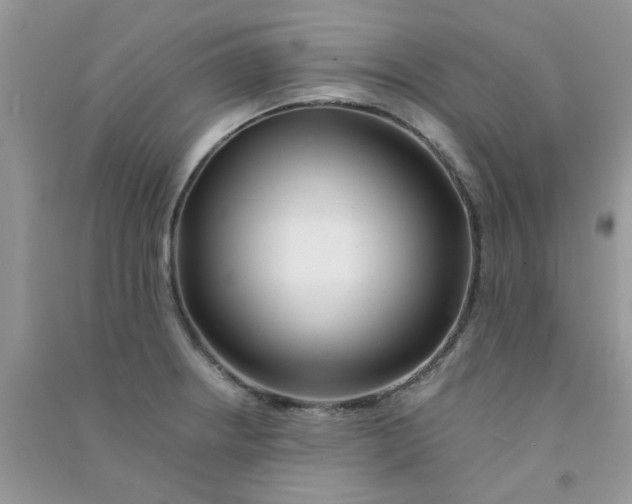 X0000090721234200708171920