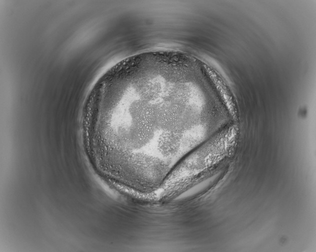 X0000090721235200708171920