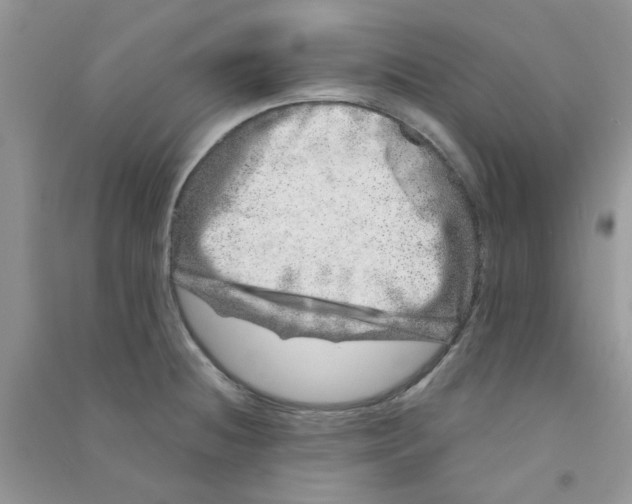 X0000090721236200708171920