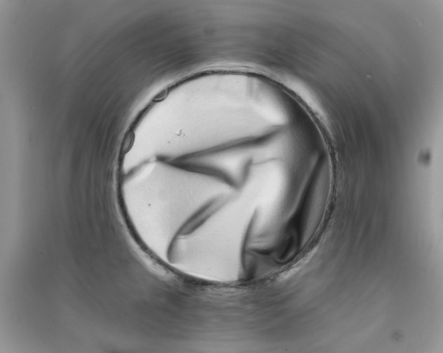 X0000090721237200708171920