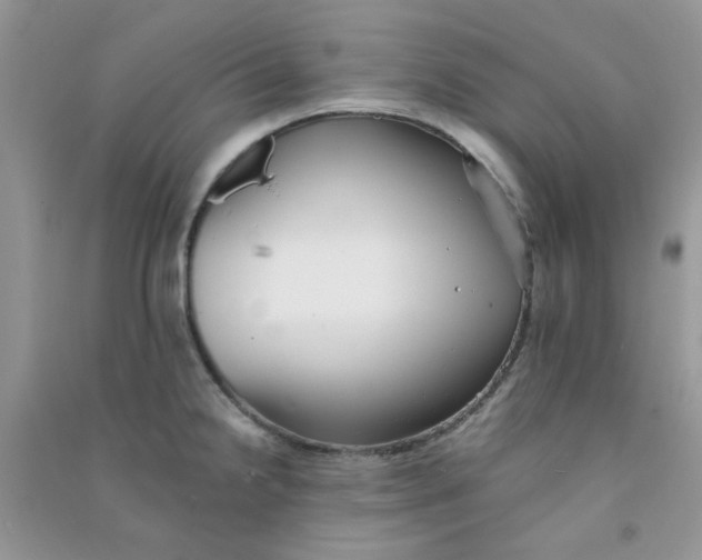 X0000090721238200708171920