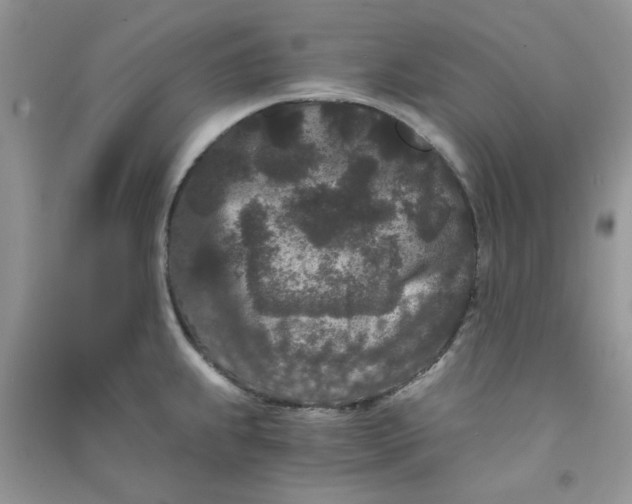 X0000090721239200708171920