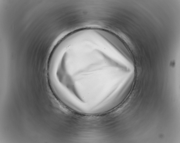 X0000090721240200708171920