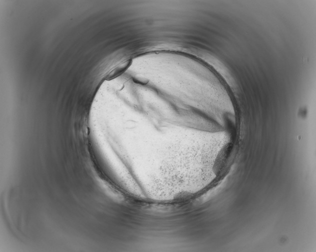 X0000090721241200708171920