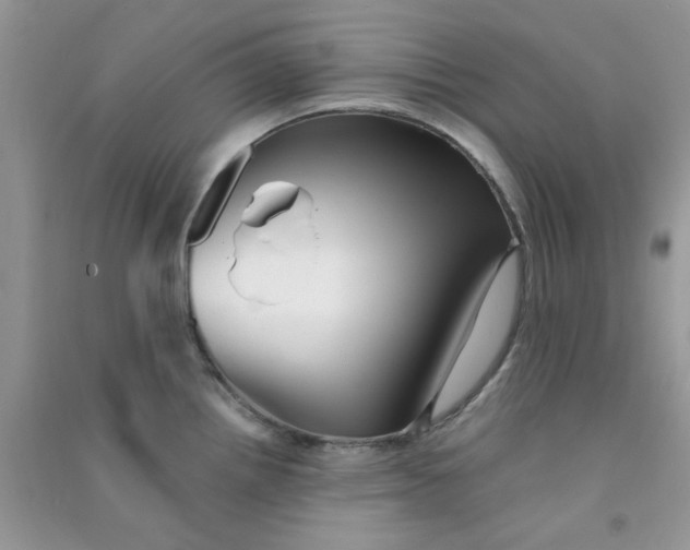 X0000090721242200708171920