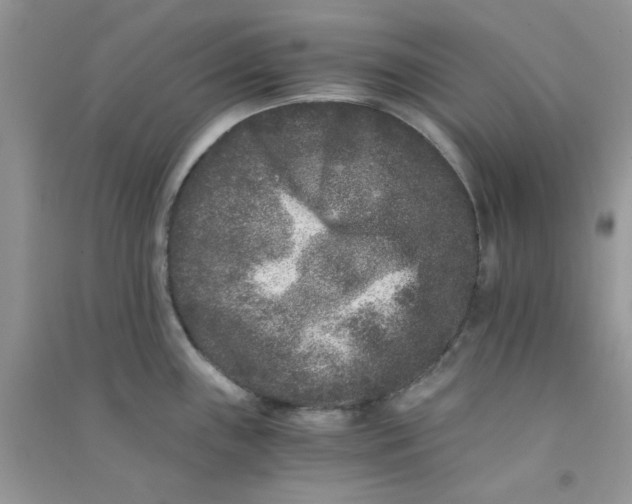 X0000090721243200708171920