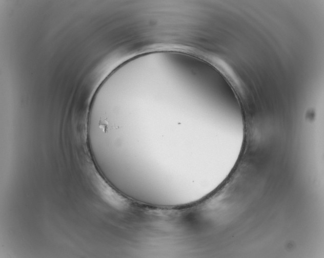 X0000090721244200708171920