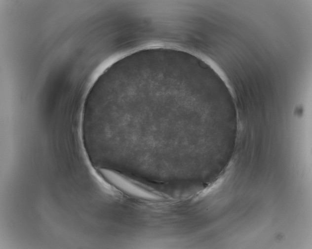 X0000090721245200708171920