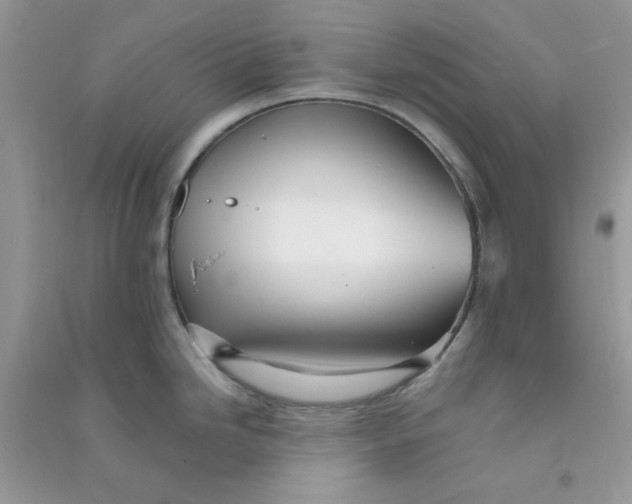 X0000090721246200708171920