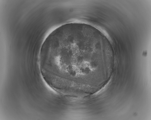 X0000090721247200708171920