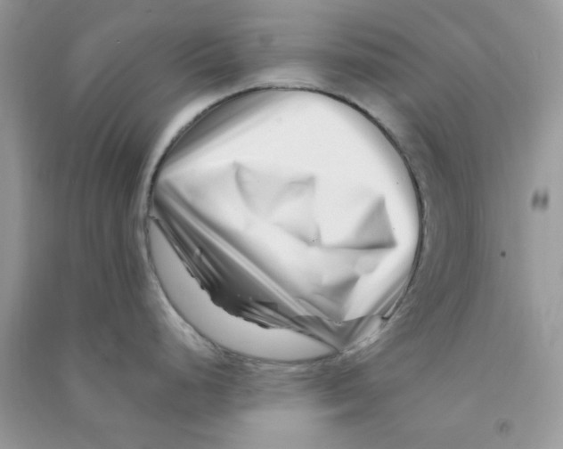 X0000090721248200708171920