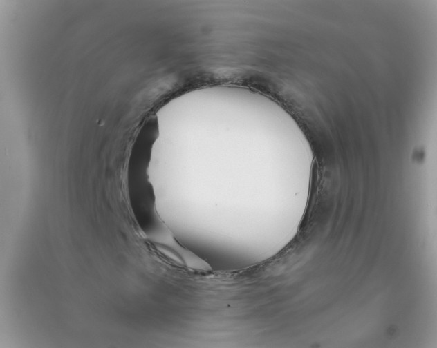 X0000090721249200708171919