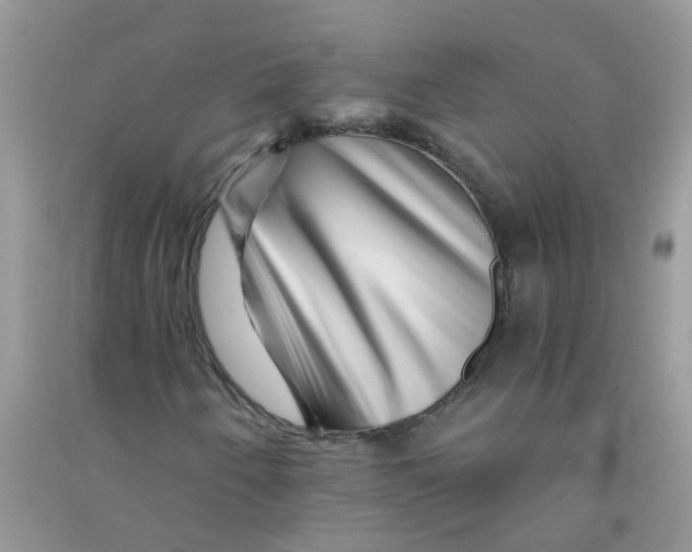 X0000090721250200708171919