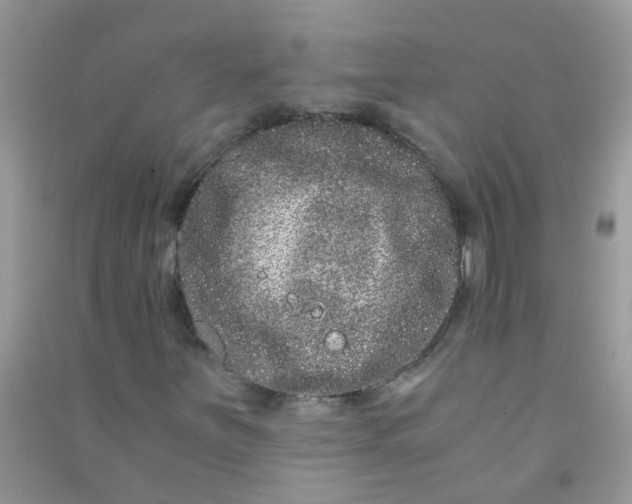 X0000090721251200708171919