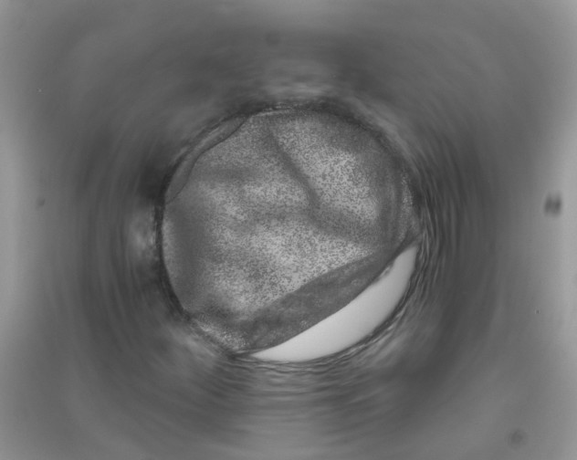 X0000090721252200708171919