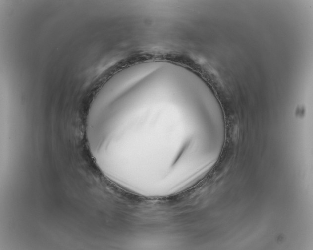 X0000090721253200708171919