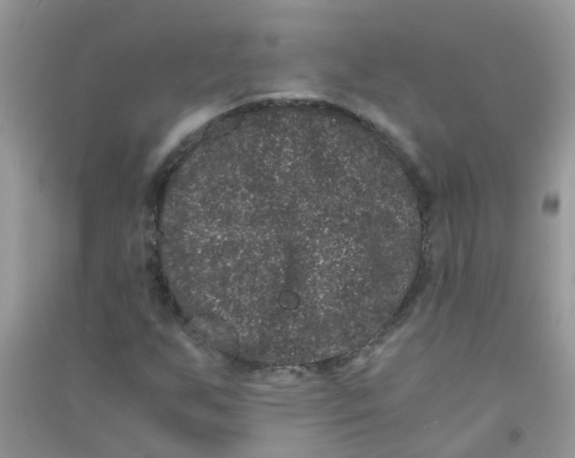 X0000090721255200708171919