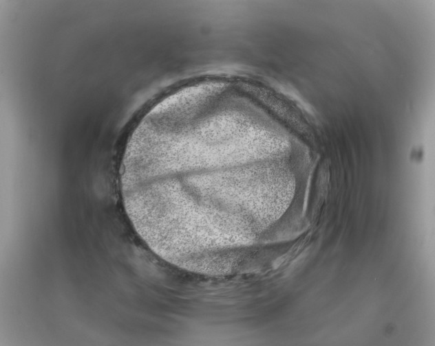 X0000090721256200708171919