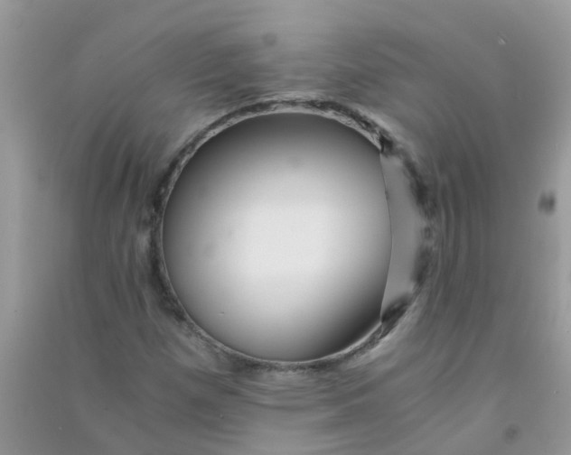 X0000090721257200708171919